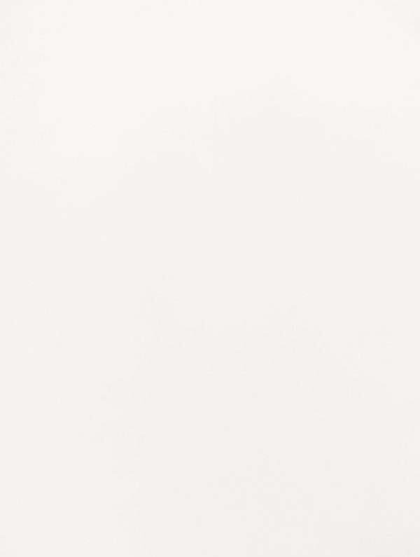 HS204 White High Gloss Interior Film