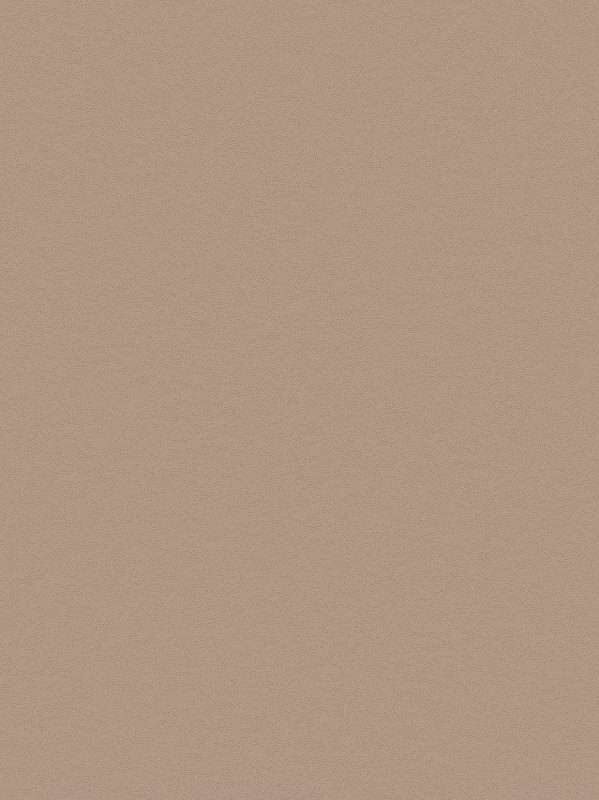 PNC41 Premium Painted Concrete