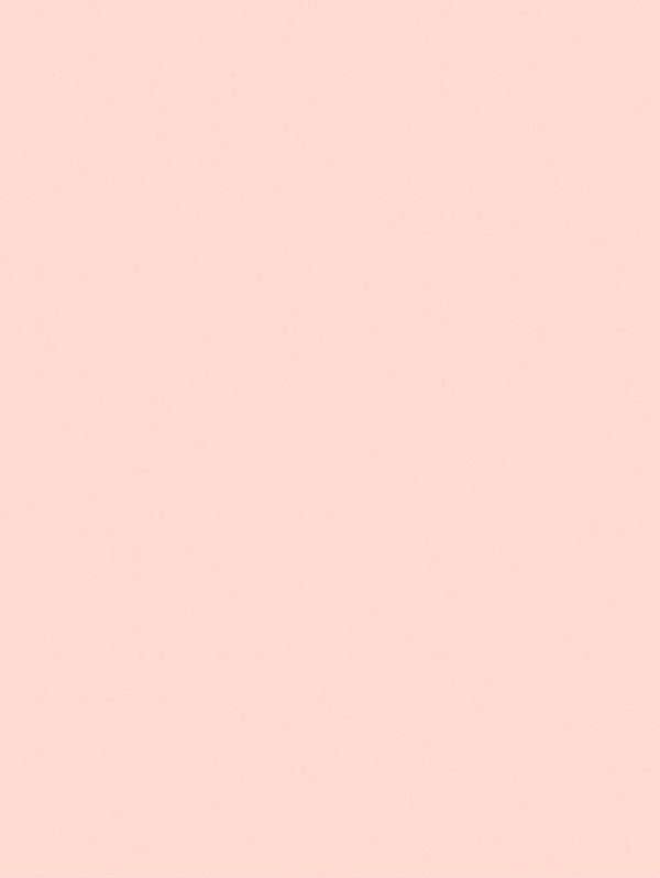 S217 Caramel Interior Film