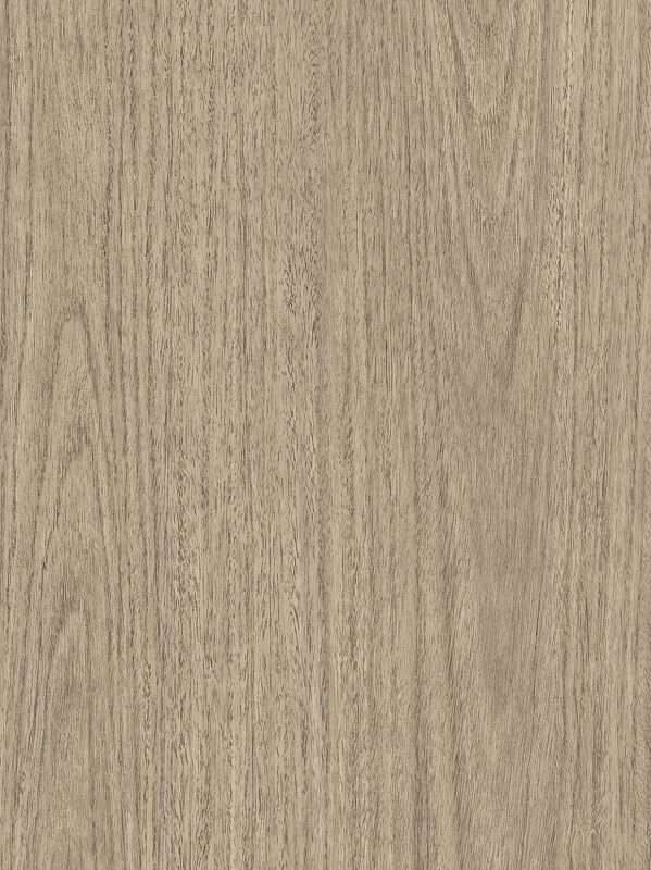 SPW70 Eucalyptus Interior Film