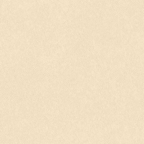 TNS05 Ecru Leather Interior Film