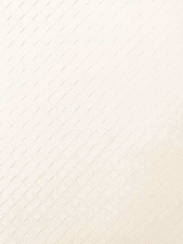 TNS10 Deep Emboss Leather Interior Film