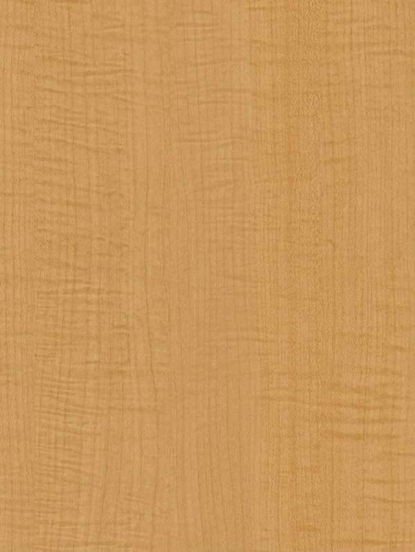 W845 Sycamore Interior Film