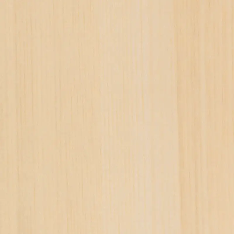 Tc 4151 Kalopanax Sg