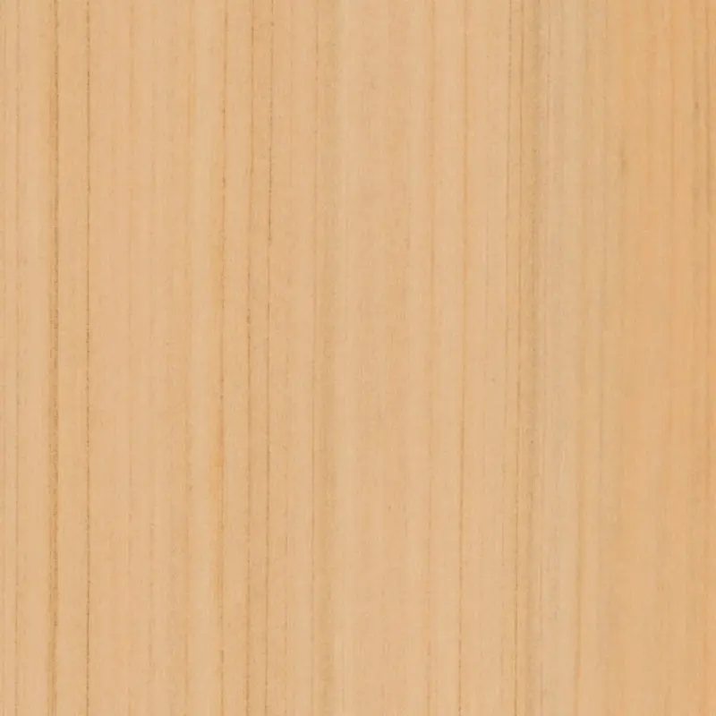 Tc 4156 Japanese Cypress Fg