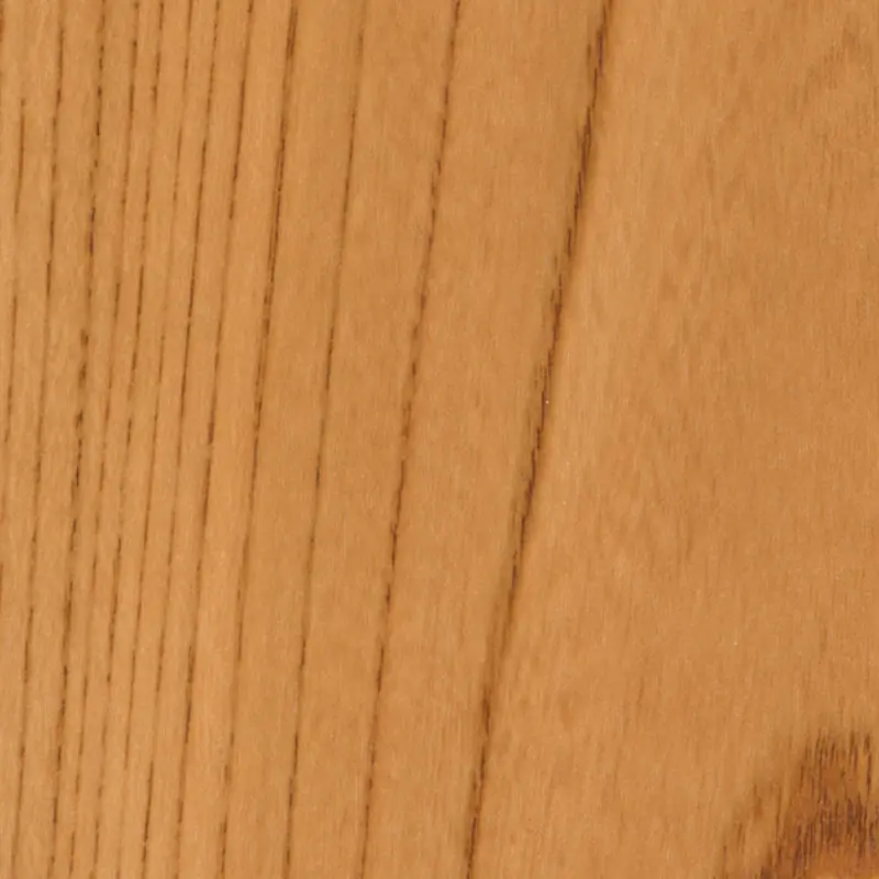 Tc 4161 Japanese Elm Fg