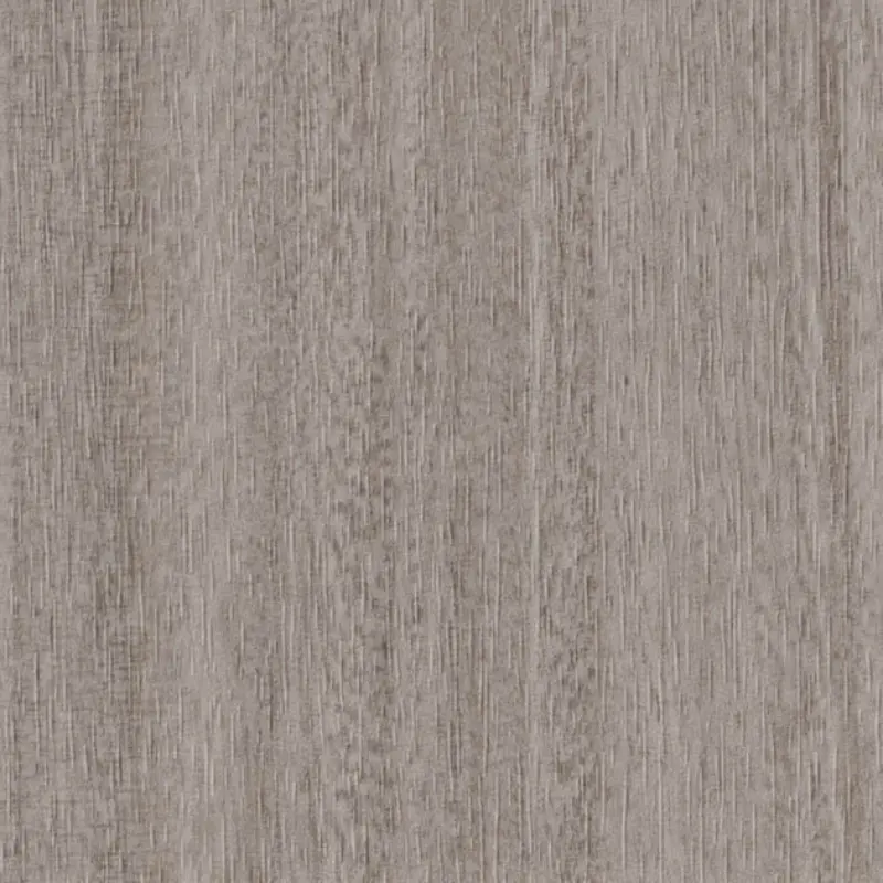 Tc 4198 Prima Vera Sg