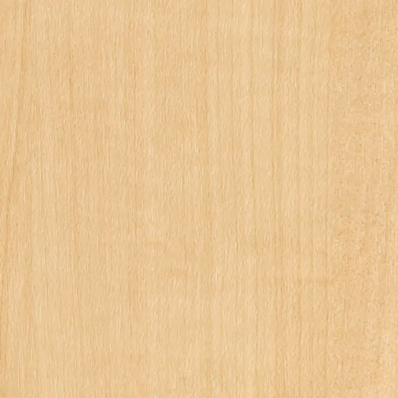 Tc 4211 Sycamore Sg Fg