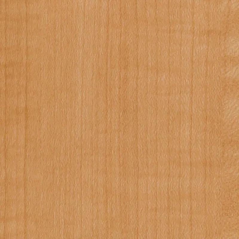 Tc 4262 Sycamore Sg Fg