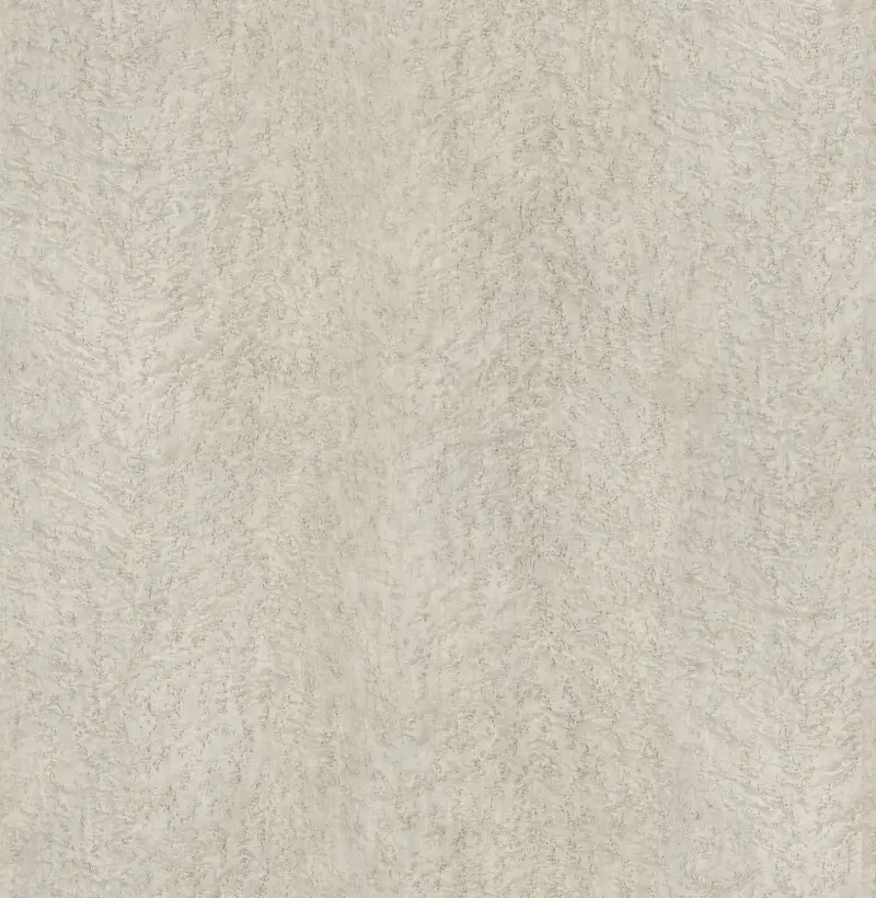 Tc 5102 Birds Eye Maple