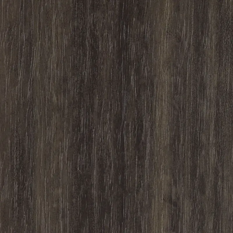 Tc 5110 Eucalyptus Sg