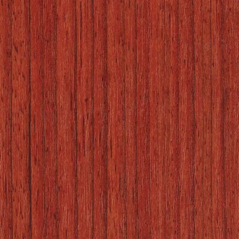Tc 5431 Padoauk Sg