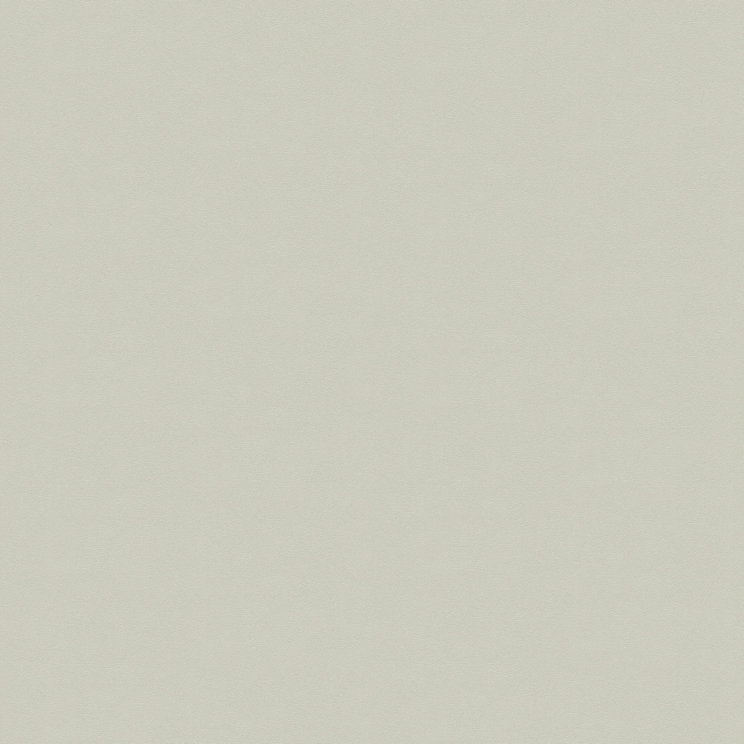 Premium Painted Stone Pp690