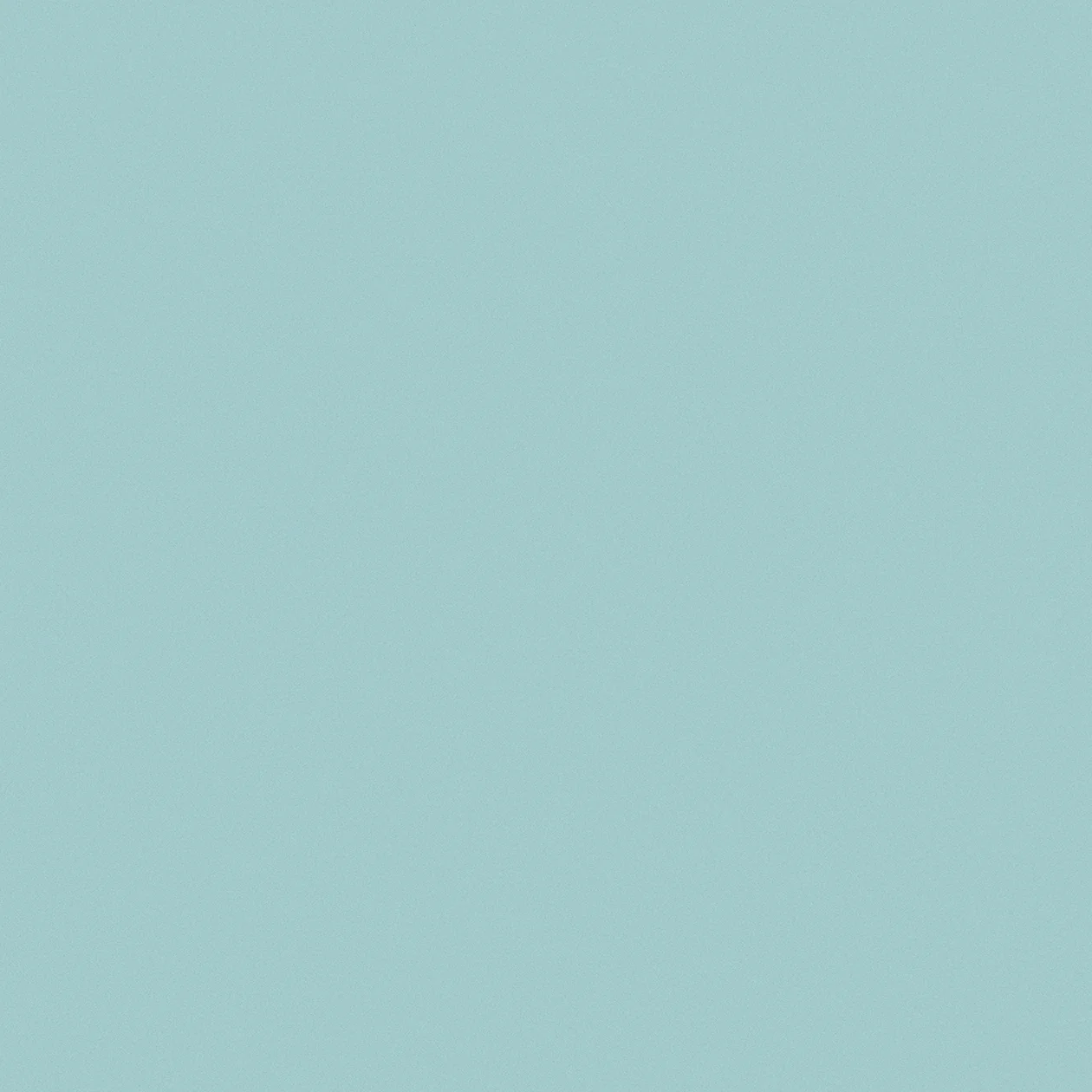 PS029 Interior Film Solid