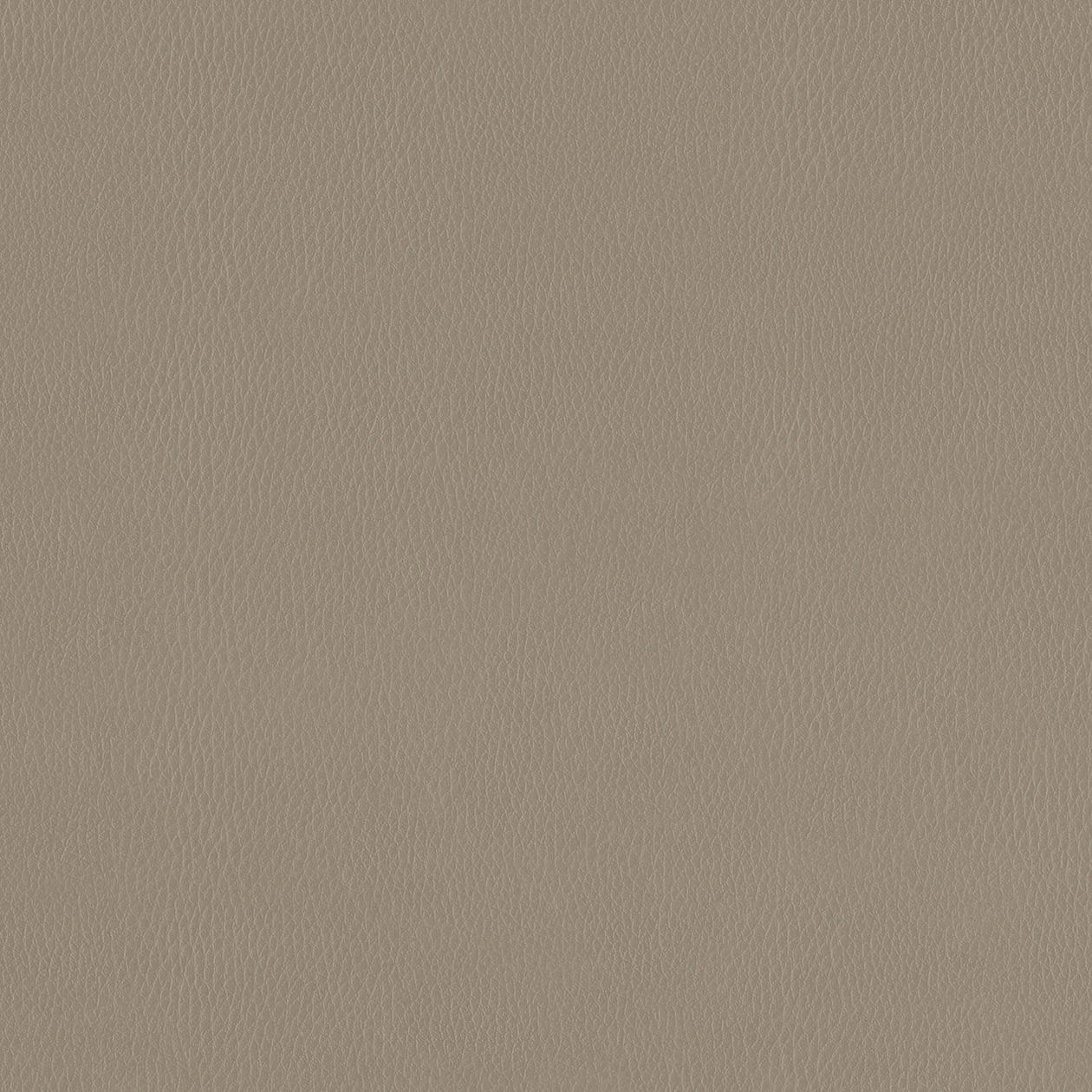 PUL654 Interior Film Textile