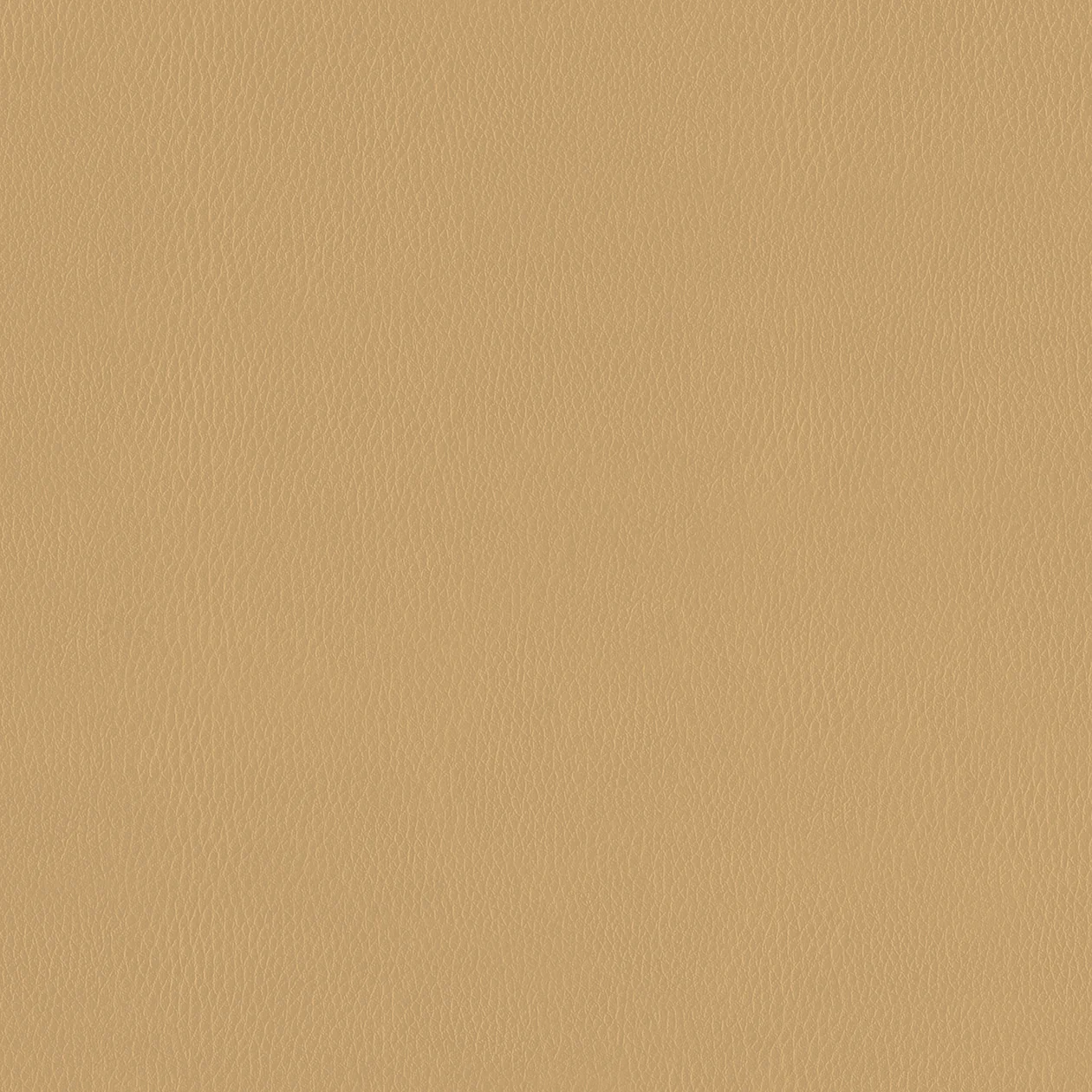 PUL655 Interior Film Textile