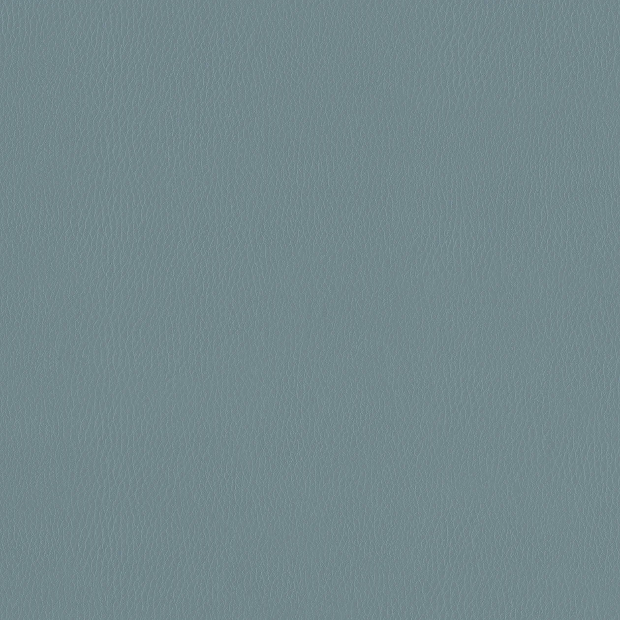 PUL656 Interior Film Textile