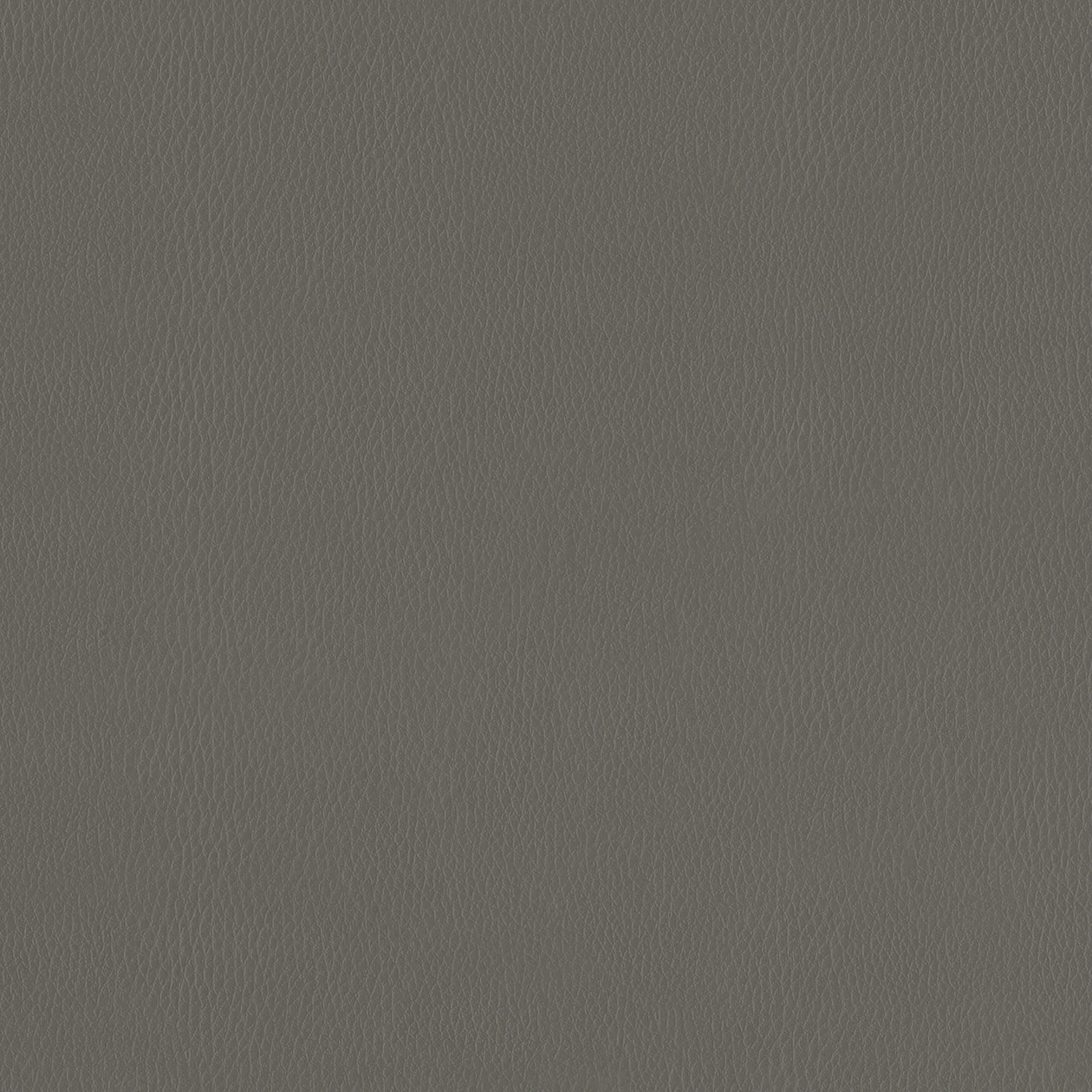 PUL657 Interior Film Textile