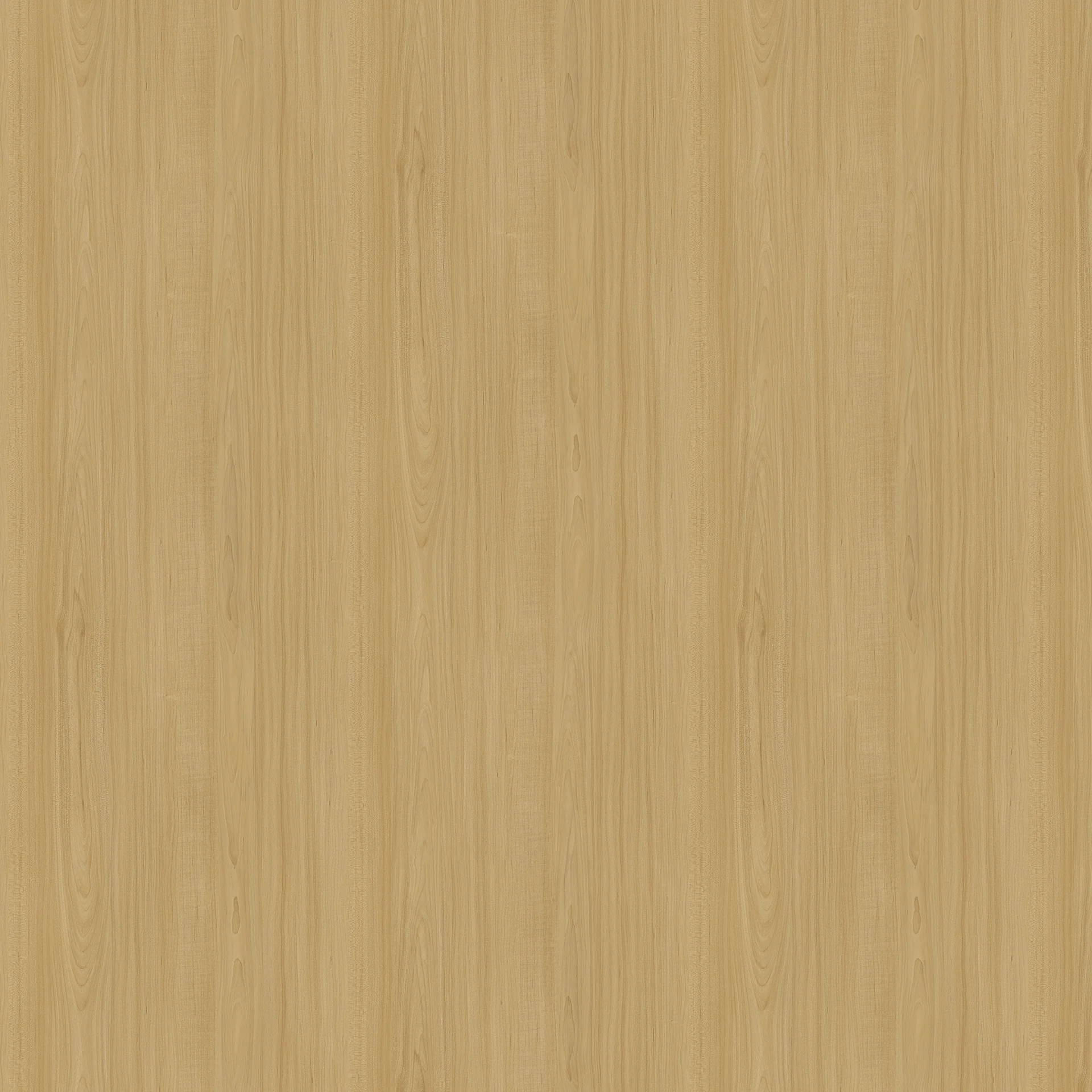 Real Wood Vw801 Maple