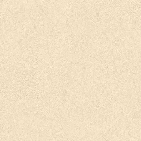 TNS05-2023-600x848-1.jpg
